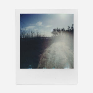 Polaroid: "Formentera"