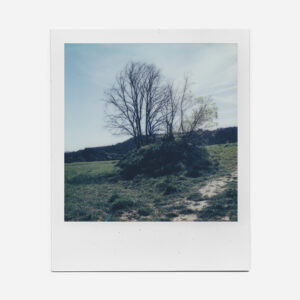 Polaroid: "Collserola"