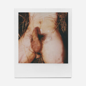 Polaroid: "Gonzalo"